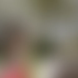 Expo été 2017 Mortemart avec l'ART