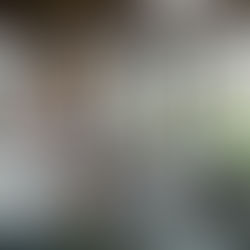 Salon des Artistes Saint-Priest-Taurion (Limousin) 2015.