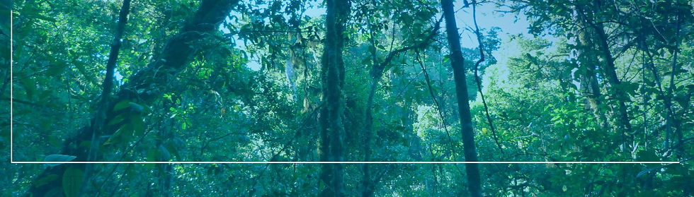 MAB-Segundo-Banner.jpg