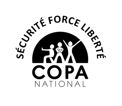 Logo SFL-2.jpeg