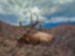 elk_hunt.jpeg