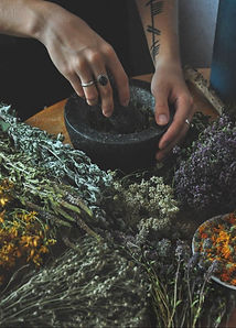 Tincture Making for the Winter Months.jp