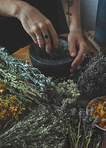 Tincture Making for the Winter Months.jp