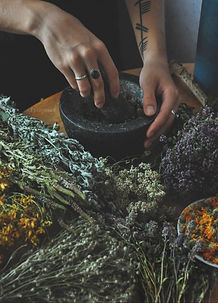 Tincture Making for the Winter Months.jp