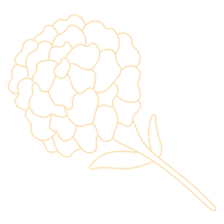 Dia de los Muertos Flower.png