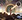 New Moon Goddess Circle