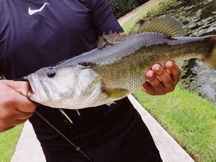 🎣 Fishing in Bastrop County: A Local’s Guide to Angling Bliss