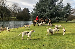 Two mounted horses stood with the hounds around them by a lake.