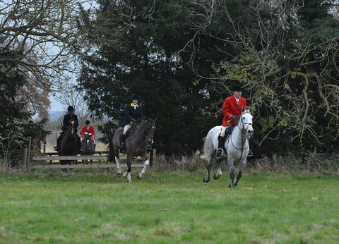 horses and riders going over a wooden fence.