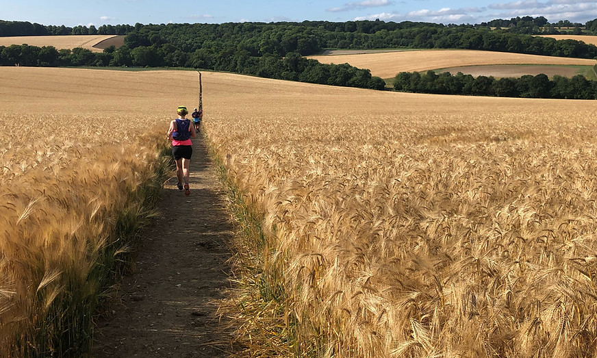 Amy Curtis partaking in an ultra marathon through a field of Wheat.