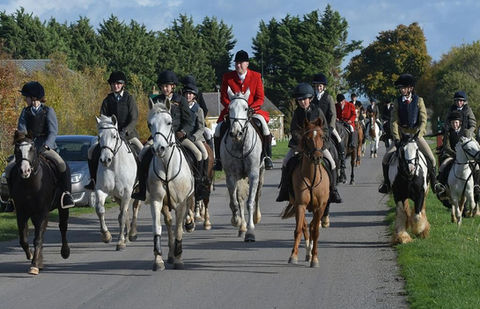 the Master and the field riding down a rode