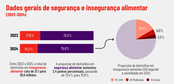 Fonte: IBGE -  PNAD Contínua (2024)