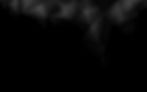 Black Diamond_edited.jpg