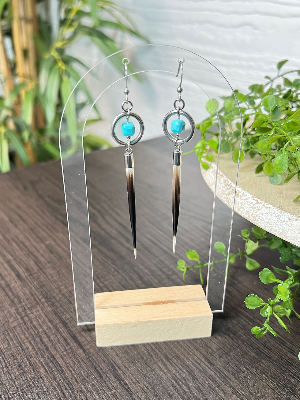 Thumbnail: Turquoise Cube Porcupine Quill Earrings