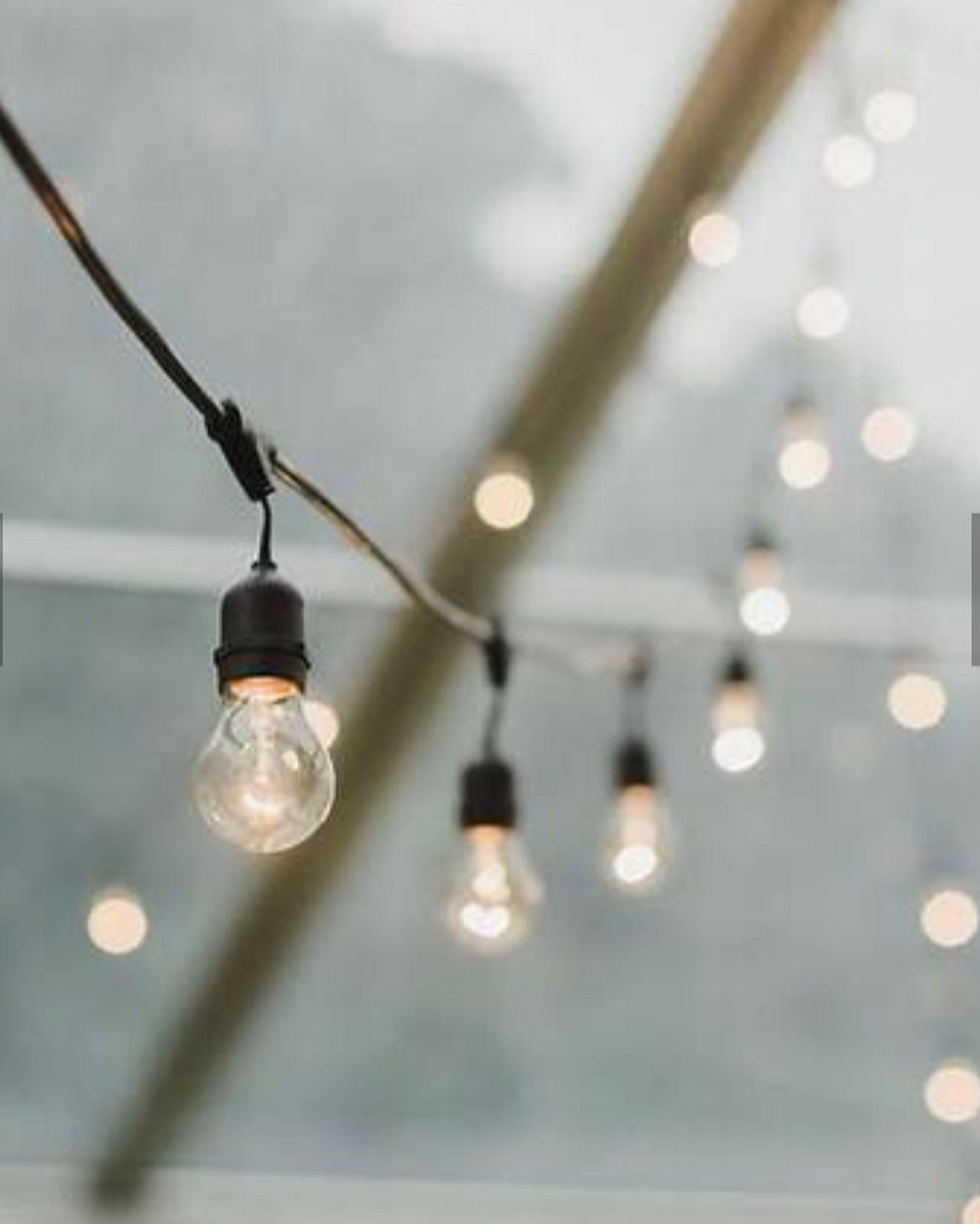 Vintage Festoon Lights