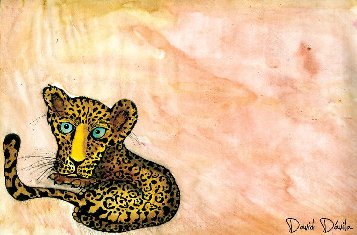 Un pequeño Leopardo