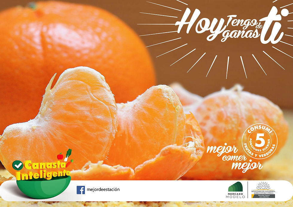 grafica-Canasta-Inteligente-tipografia-f