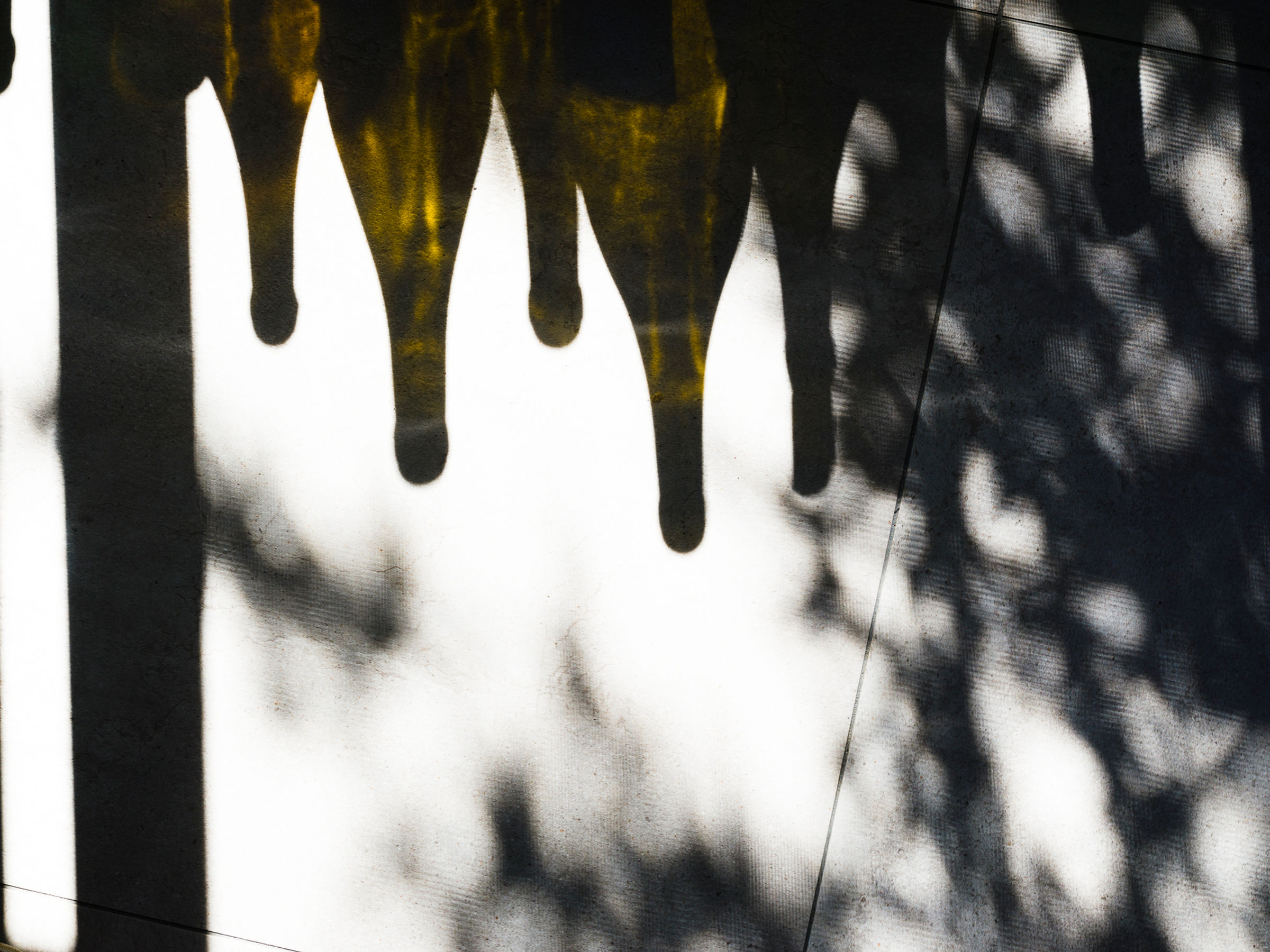 OMAKASE Special 4本SET 【送料無料】