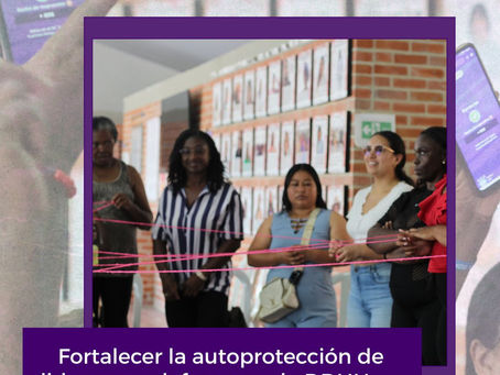 “Seguras y conectadas”, desarrollado en el marco del convenio “Fortalecimiento de las capacidades del Ministerio del Interior: implementación del Acuerdo de Paz, Seguridad Humana y respeto por los derechos humanos”, con apoyo del Programa de las Naciones Unidas para el Desarrollo y del Ministerio del Interior.