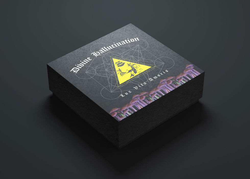 Mock Up for Divine Solutions