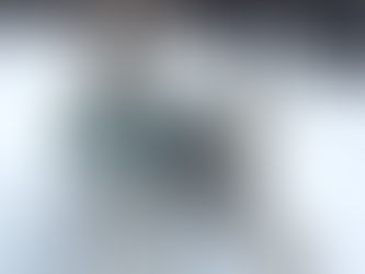 Two huskies in jackets, one sitting and one lying on snowy ground. Leashes visible. Forest background with bare trees. Relaxed mood.