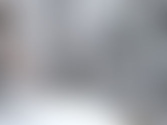 Two dogs in winter coats lie in snow on a forest trail. Snow-covered trees surround them, creating a serene, wintry scene.