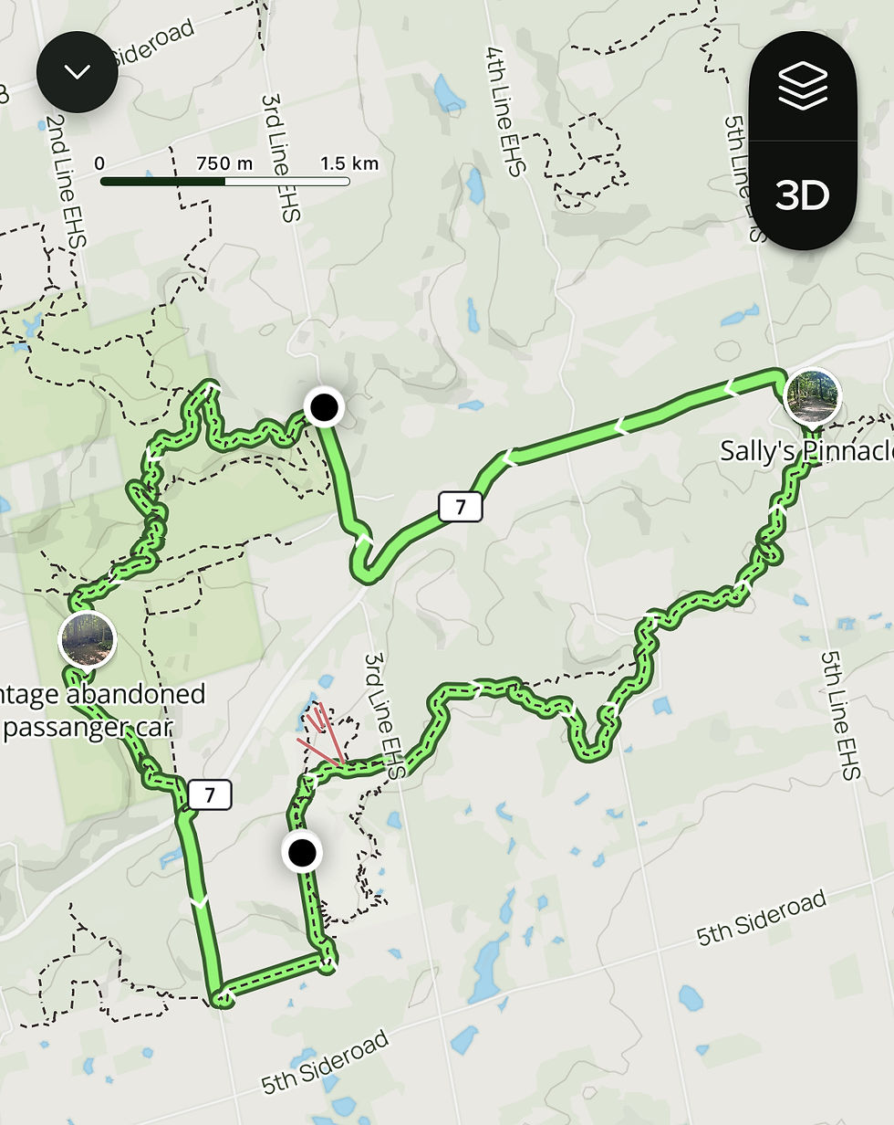 Map showing a green trail path that follows the Bruce Trail in a rural area, labeled "Sally's Pinnacle." Includes roads like 3rd Line EHS and 5th Sideroad.