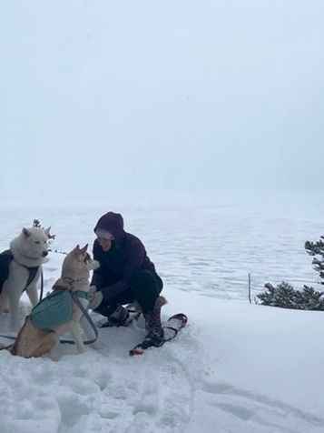 Two people with snow gear and two dogs sit on a snowy cliff overlooking a foggy landscape, surrounded by snow-covered trees.