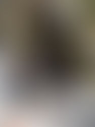 Two people and two dogs in snow, smiling near a spiral staircase. Snowshoes on ground, surrounded by trees and rocky background.