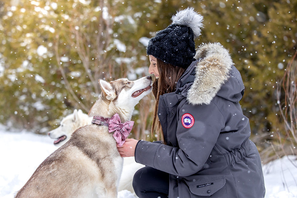 Woman in winter coat and hat smiling at a husky wearing a pink bow in a snowy forest, creating a joyful, snowy scene.