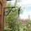 Thumbnail: DECORATIVE PLANT HOOK