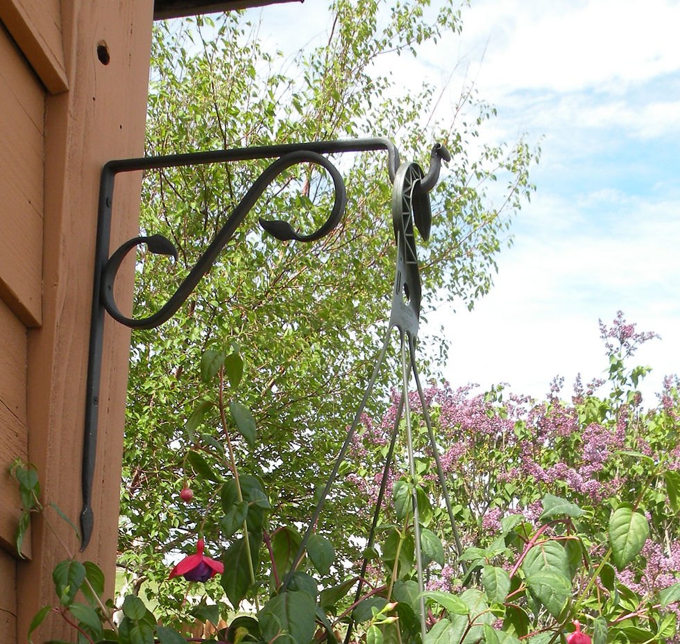 Thumbnail: DECORATIVE PLANT HOOK