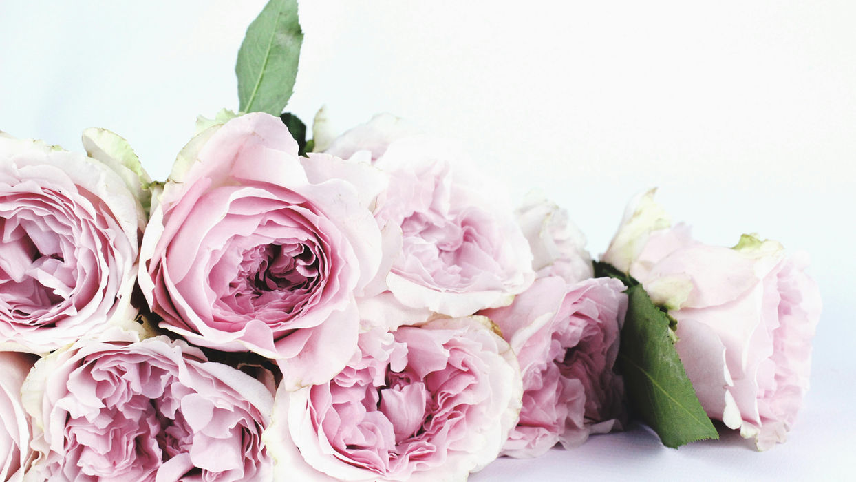 The Art of Garden Roses