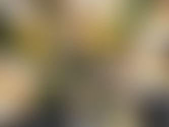 3 Ways Sports Can Help Build Resilience in Children