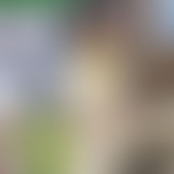 A girl examines plant roots during a classroom activity.