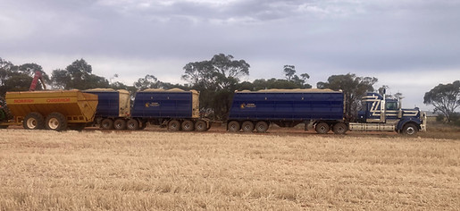 Harvest 2023 FRMFR8 Paddock.jpg