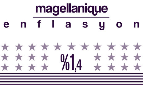 ABD 2020 Yılı Senelik Enflasyonu: %1,4