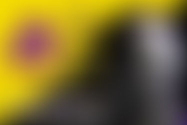 Liberteryenler Anarşist mi?