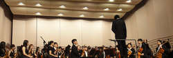 Violinist
