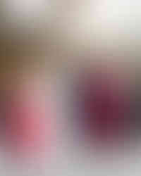 Wedding party portrait: bride, groom, family, and children.