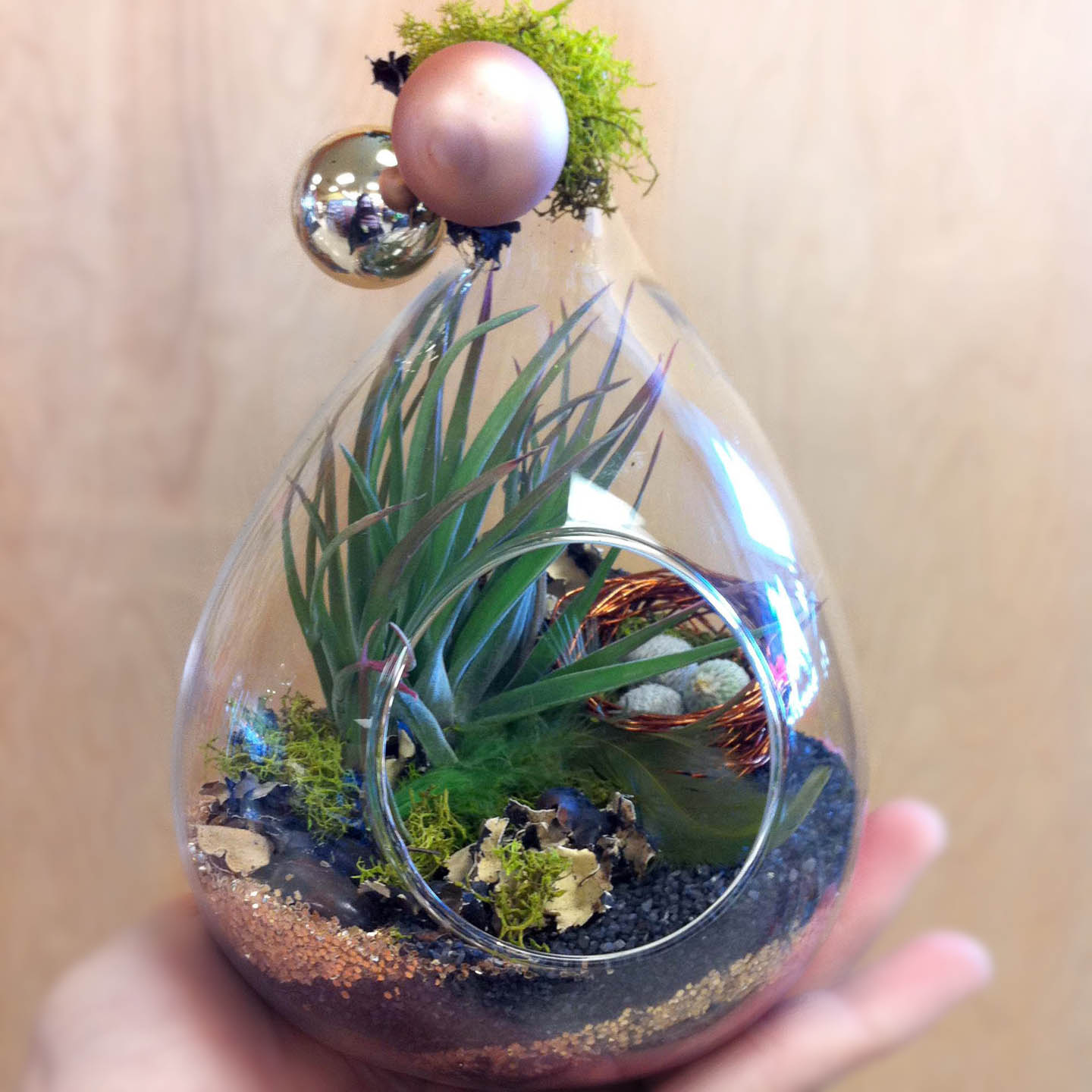Terrarium