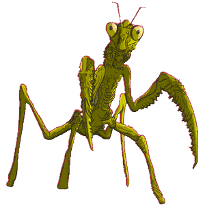 mantis-06.gif