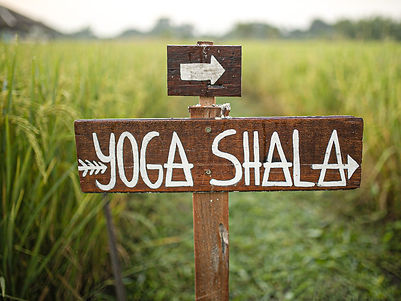 Suan-Sati-Gallery-Pathway-to-Yoga-Shala-Through-Rice-Fields.jpeg