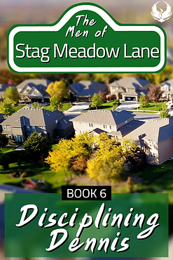 The Men of Stag Meadow Lane, Book 6: Disciplining Dennis