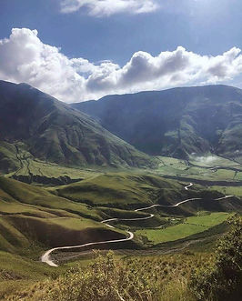 WhatsApp Image 2025-09-01 at 20.43.23.jpeg