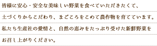 about_newsText.png