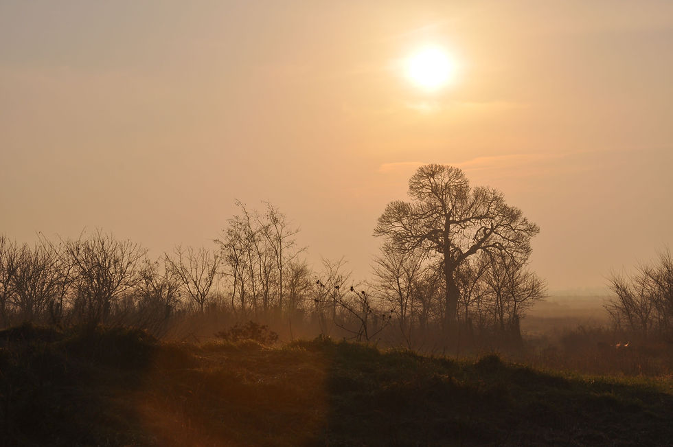 Hunting in Serbia