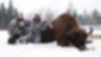 Eastern European Bison