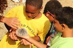 St. Maarten Day trip