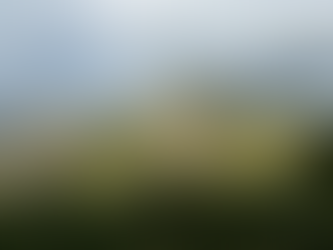 Obligación de solicitar el Número de Registro de Alquiler en alojamientos comercializados únicamente a través de página web propia: análisis jurídico tras el Reglamento (UE) 2024/1028